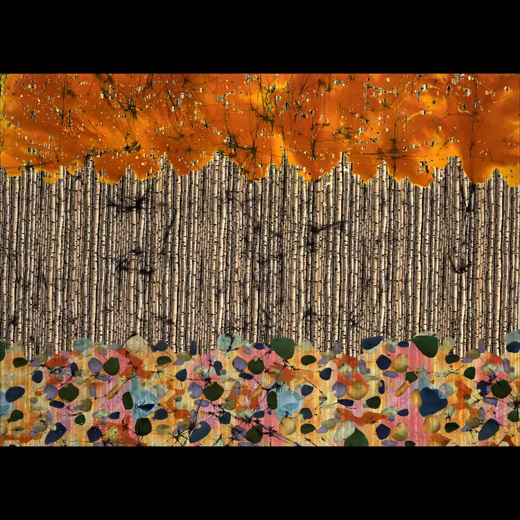 AspenintheFall 3