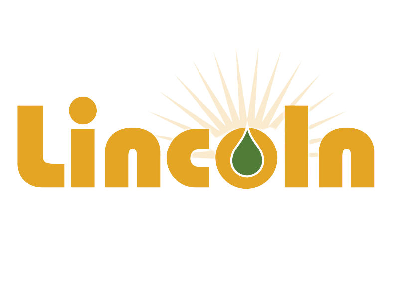 Lincoln logo